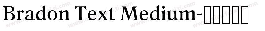 Bradon Text Medium字体转换
